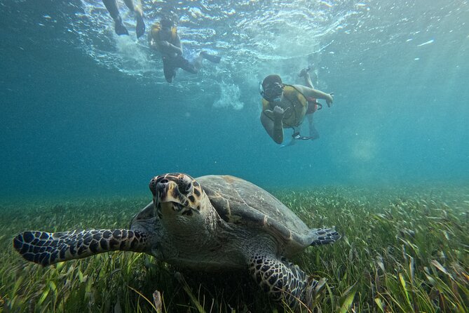 3 in 1 Jungle Tour Adventure Cancun - Speedboat Through Nichupté Mangroves: The Part You’ll Talk About