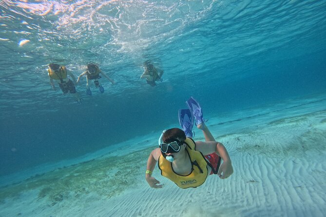 3 in 1 Jungle Tour Adventure Cancun - Cenote Swim and a Sunken Shipwreck: Two Kinds of Underwater Magic