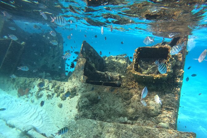 3 in 1 Jungle Tour Adventure Cancun - How the 2 Hours 30 Minutes Typically Run (and Where Time Can Slip)