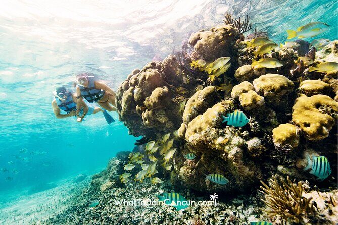 3-in-1 Puerto Morelos: Snorkeling, Tequila & Beachside Lunch - Group size and who this snorkel day fits best