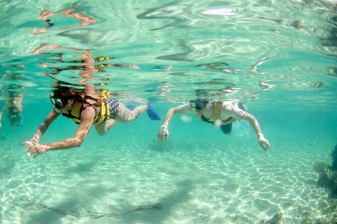 3-in-1 Puerto Morelos: Snorkeling, Tequila & Beachside Lunch - Should you book this 3-in-1 Puerto Morelos tour?