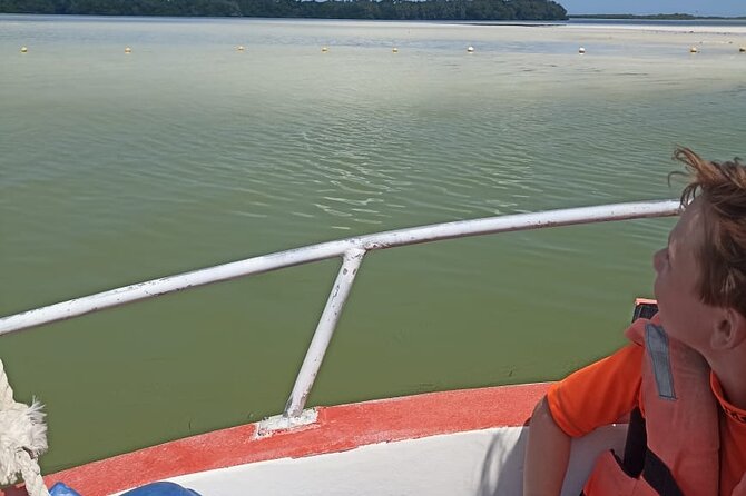 3 Islands tour Holbox . (Yalahau and more) - Price and logistics: what $50.87 really buys you