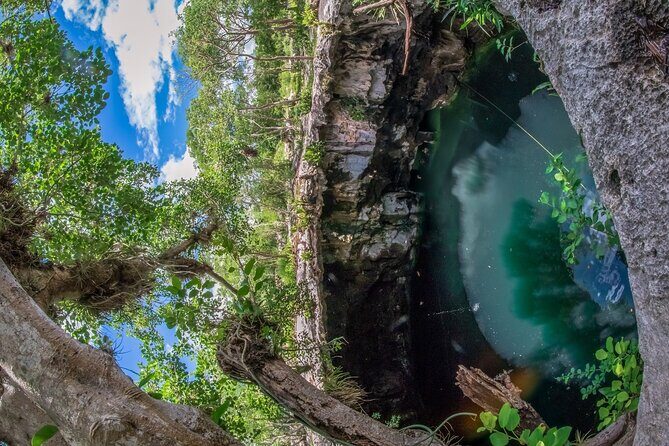 4 Cenotes Full Day Tour from Merida - The cenote lineup: Uinic, San Antonio, Santa Rosa, Homun