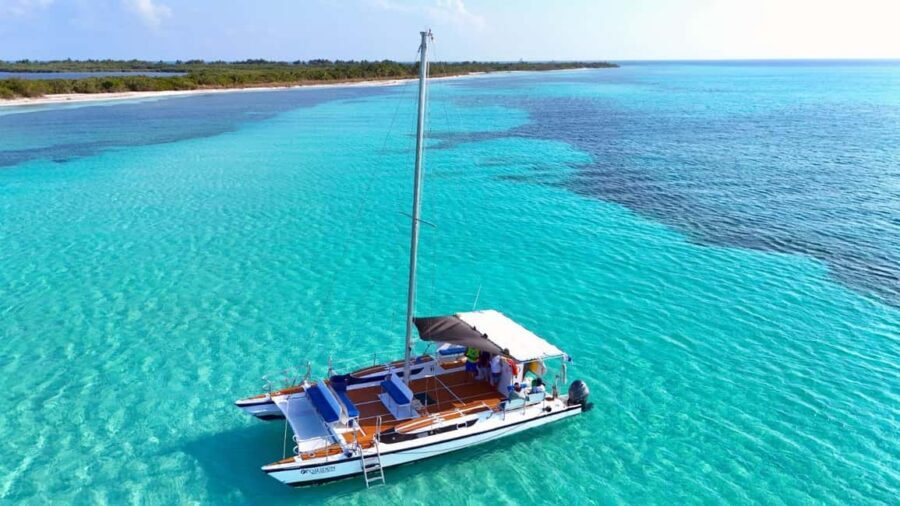 4 Hour Turtle Sanctuary Experience on a Luxury Catamarán - A 4-hour Cozumel catamaran that’s built for comfort