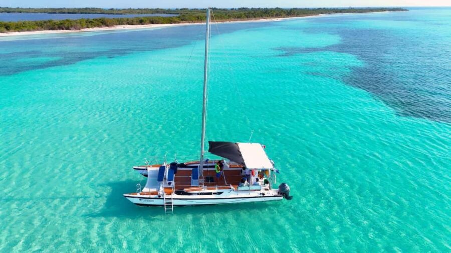4 Hour Turtle Sanctuary Experience on a Luxury Catamarán - The boat day vibe: shade, bathrooms, and included drinks