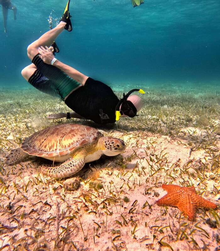 4 Hour Turtle Sanctuary Experience on a Luxury Catamarán - Cielito Little Heaven sandbank: relax time with snacks and drinks