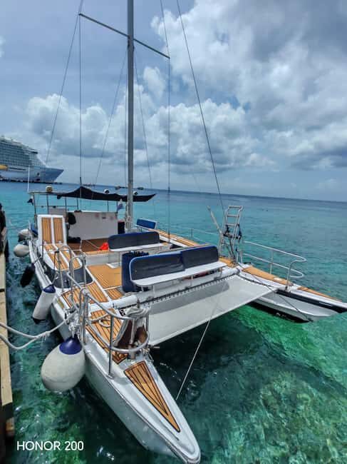 4 Hour Turtle Sanctuary Experience on a Luxury Catamarán - Weather, turtles, and the reality check that keeps expectations sane