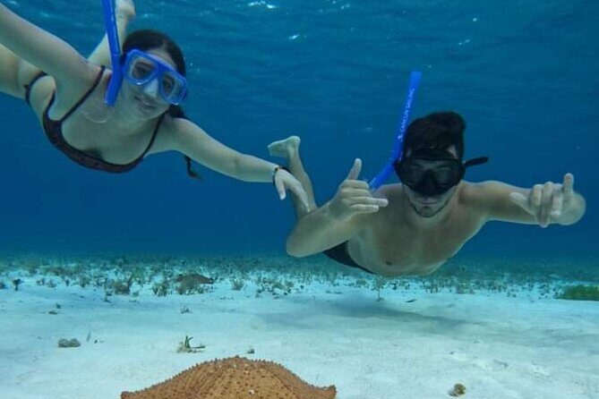 4 hours of shared snorkeling to El Cielo - Palancar Reef: Where the Bigger Marine Life Shows Up