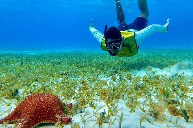 4 hours of shared snorkeling to El Cielo - Gear, Safety, and the Human Touch That Makes It Worth $53.77