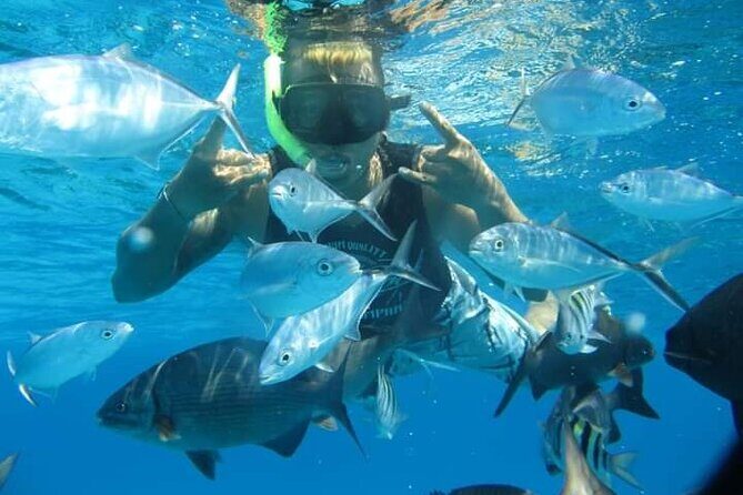 4 hours of shared snorkeling to El Cielo - Small-Group Dynamics: Why 13 People Feels Different
