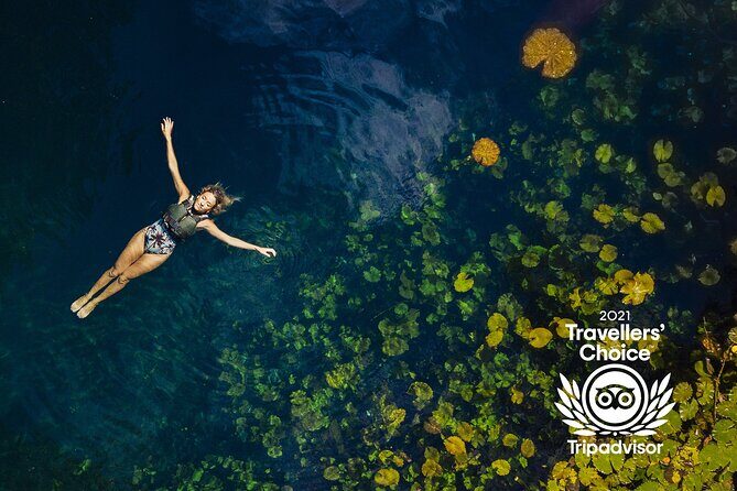 4-in-1 Cenote Tour Guided Experience with Breakfast, Lunch & Wine - Há (Water Cenote): underwater gardens plus kayaking