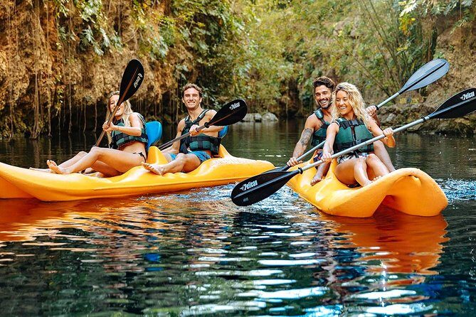 4-in-1 Cenote Tour Guided Experience with Breakfast, Lunch & Wine - Jungle picnic lunch with wine and beer: what you’re getting for the money