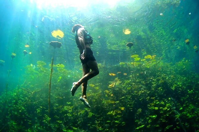 4-in-1 Cenote Tour Guided Experience with Breakfast, Lunch & Wine - Stop at Xenotes Oasis Maya: orientation, legends, and the element theme