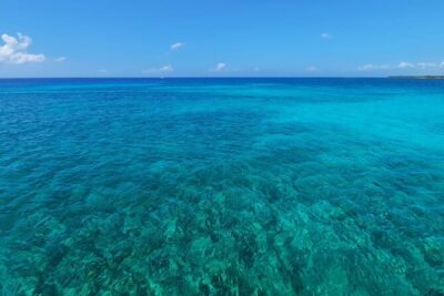4H Luxury 44' Catamaran All-Inclusive in Tulum & Playa del Carmen - Puerto Aventuras to In-Ha reef: sailing time that doesn’t waste your day