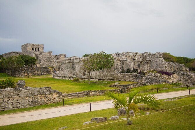 4x1 Explore TULUM Coba, Cenote and Mas, with transportation + Lunch. - Transportation, group size, and how the guide shapes the day