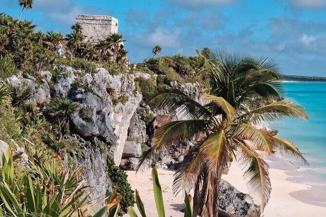 4X1 Tour to Tulum, Coba, Cenote and Playa Del Carmen - Cobá Ruins and the Buffet Lunch: Jungle Ruins With Options