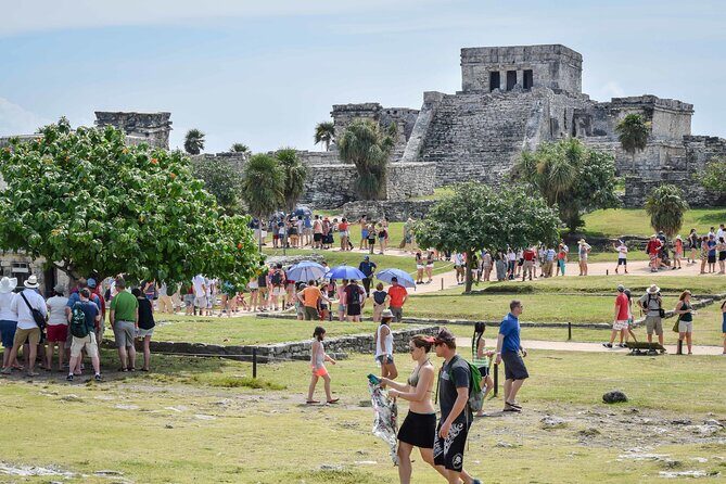 4X1 TOUR Tulum, Coba, Cenote & Playa del Carmen with buffet - Stop 4: Quinta Avenida in Playa del Carmen (and How to Use Your Walk Time)