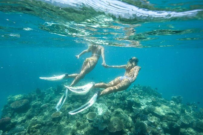 5-in-1 Adventure in Cancun: ATVs, Ziplines, Speed Boat, Snorkel and Cenote Swim - Lunch and the extras that change your final cost