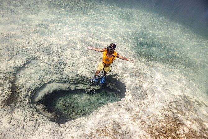 5-in-1 Cancun Snorkeling Tour with Sea Life & Transport Included - Key Highlights You’ll Actually Care About