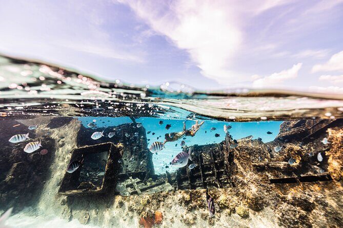 5-in-1 Cancun Snorkeling Tour with Sea Life & Transport Included - Photo Reality Check: How to Get Great Shots Without Getting Burned