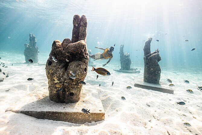 5-in-1 Cancun Snorkeling Tour with Sea Life & Transport Included - Price and Logistics: The $79 Ticket Plus the Dock Fee That Changes Your Total