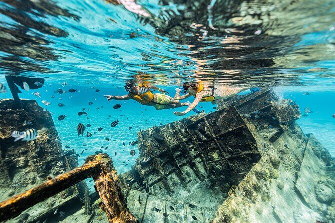 5-in-1 Cancun Snorkeling Tour with Sea Life & Transport Included - When Weather Changes the Plan: Why This Tour Still Works