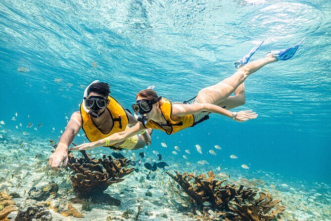5-in-1 Cancun Snorkeling Tour with Sea Life & Transport Included - Who Should Book This 5-in-1 Snorkeling Tour in Cancun?