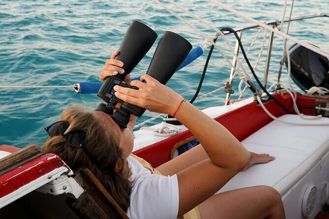 6hrs of Sailing in Bacalar Lagoon: discover Cenotes, Islands and Stromatolites. - Key highlights at a glance