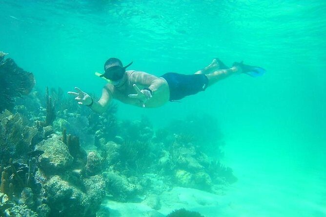 A beach day with open bar, lunch and snorkeling LOS ARRECIFES RESTAURANT - Guided snorkeling at Los Arrecifes: what actually happens