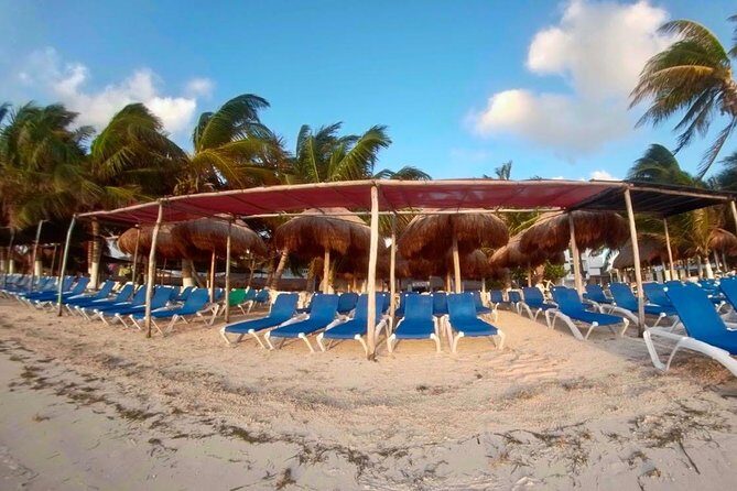 A beach day with open bar, lunch and snorkeling LOS ARRECIFES RESTAURANT - Small-group snorkeling: why max 20 matters