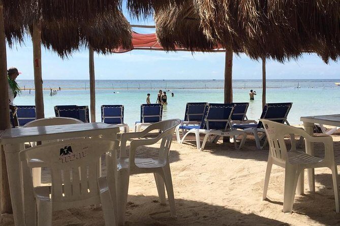 A day at the beach at Los Arrecifes Restaurant-open Bar And Snack - Swimming, Snorkeling Kit, and the Seaweed Reality