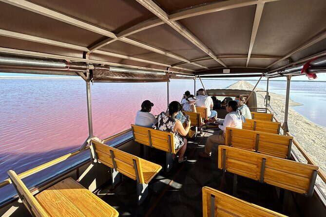 Admission Ticket to Safari in the Pink Lagoons of Las Coloradas - The safari route: Las Coloradas Parque Turistico to the lagoon system