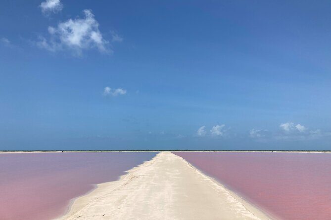 Admission Ticket to Safari in the Pink Lagoons of Las Coloradas - What harvest season can change during your visit