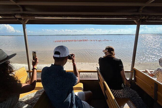 Admission Ticket to Safari in the Pink Lagoons of Las Coloradas - Value check: what is included and what you’ll need to bring