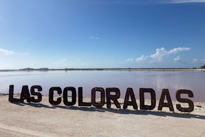 Admission Ticket to Safari in the Pink Lagoons of Las Coloradas - English guidance, group pacing, and why the vibe matters