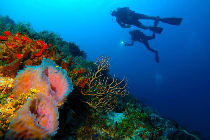 Advanced Open Water Diver course PADI in Playa del Carmen - Your other 3 sessions: choose what you want to work on