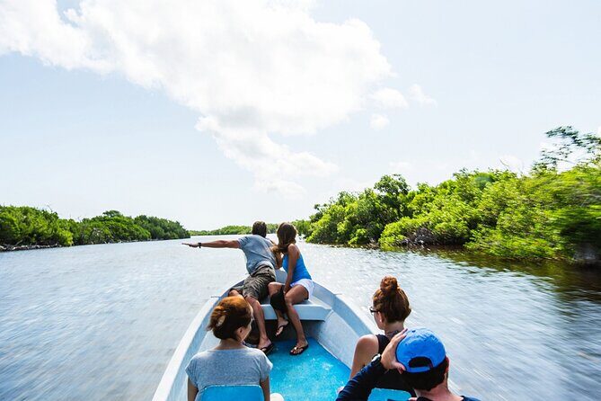 Adventour Day: Coloradas and Rio Lagartos Excursion from Cancun! - The whole day in one sentence: early start, two nature stops