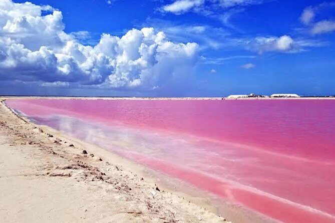 Adventour Day: Coloradas and Rio Lagartos Excursion from Cancun! - Las Coloradas pink lagoon: why the water turns pink