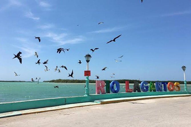 Adventour Day: Coloradas and Rio Lagartos Excursion from Cancun! - Transportation reality: long shared rides and one bathroom rule