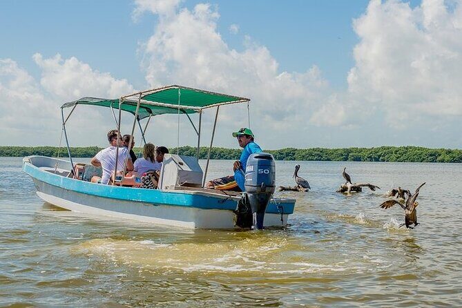 Adventour Day: Coloradas and Rio Lagartos Excursion from Cancun! - Guide and group size: what you can expect from a shared tour