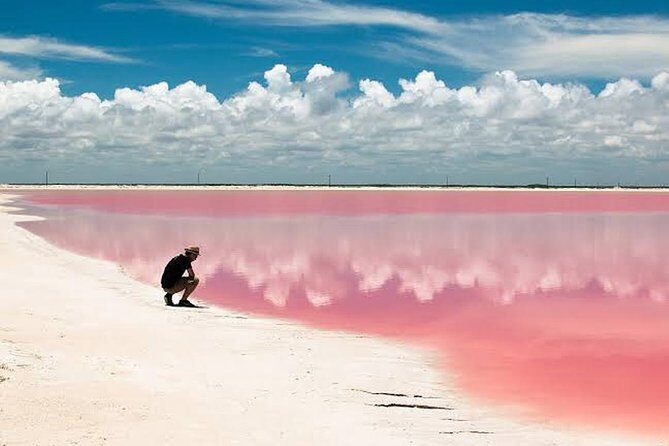 Adventour Day: Coloradas and Rio Lagartos Excursion from Cancun! - Pickup points and meeting ideas that prevent stress