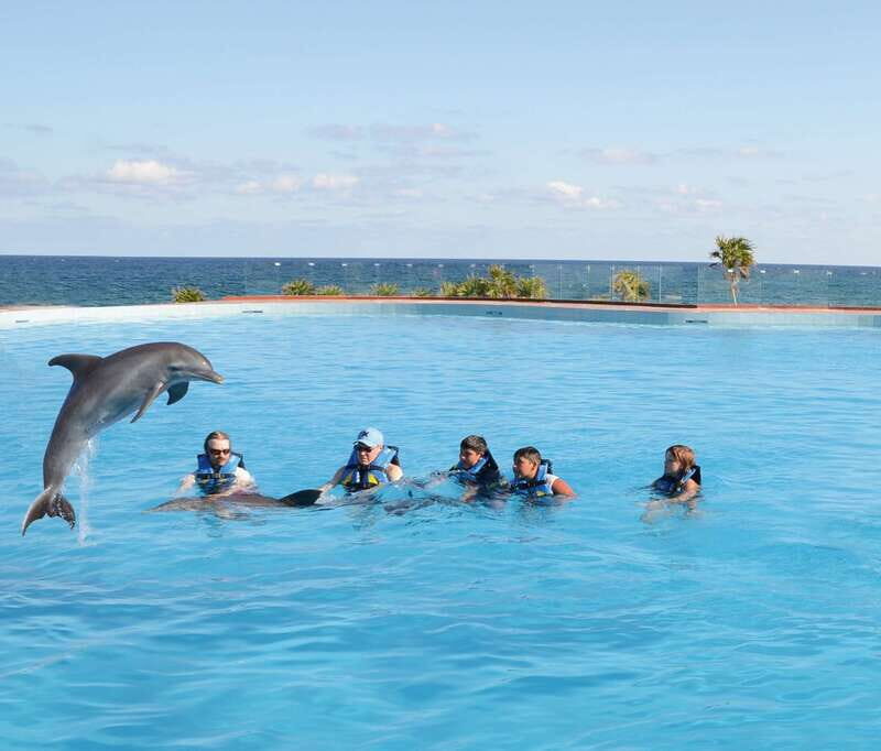 Akumal: Dolphin Encounter - Key Points Before You Go