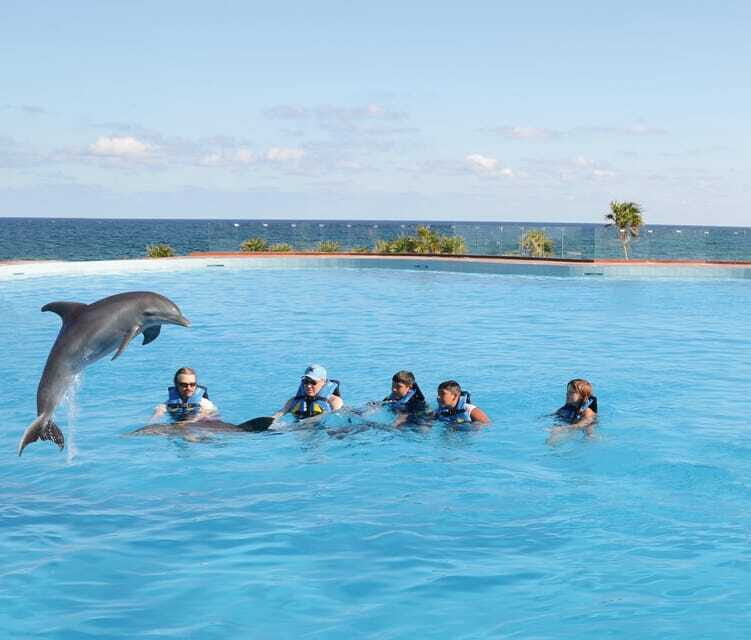 Akumal: Dolphin Encounter - Photos, Cameras, and the Real Money Question