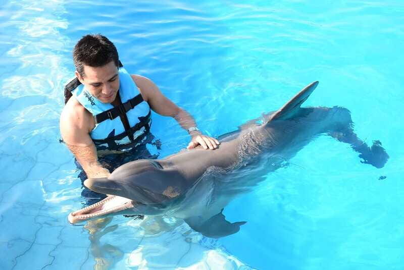 Akumal: Dolphin Encounter - What to Bring (and What Might Trip You Up)