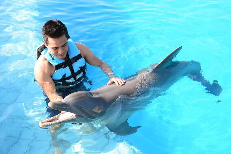 Akumal: Dolphin Encounter - The Set-Up: Why the Intro Matters (Even When You’re Excited)