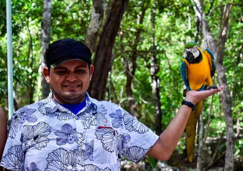 Akumal: Explore the Monkey Sanctuary, ATV Circuit and Cenote - Akumal: How the Monkey Sanctuary, ATV Circuit, and Cenote fit together