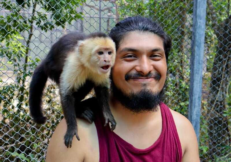 Akumal: Explore the Monkey Sanctuary, ATV Circuit and Cenote - Inside the Akumal Monkey Sanctuary: preservation stories you can actually connect to