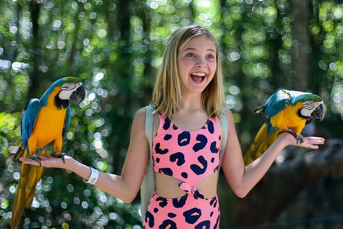 Akumal Monkey Sanctuary - Getting to Akumal Monkey Sanctuary: pickup options and transfer reality