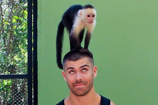 Akumal Monkey Sanctuary - Monkey bonding: the highlight moment, with real-world rules