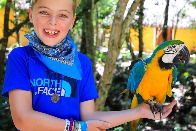 Akumal Monkey Sanctuary - Comfort and timing tips for the 2-hour experience